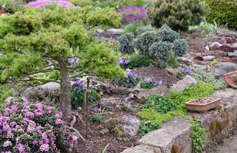 Walter-Meusel-Stiftung, Germany